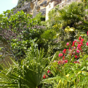 Le Jardin Exotique de la Roque-Gageac 17 kms